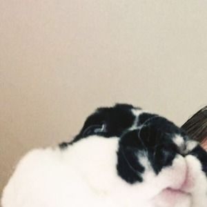 Meet your Posher, Lily